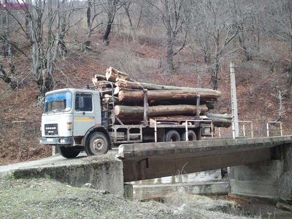 Bărbat din Măguri Răcătău sancționat pentru transport material lemnos fără documente de proveniență