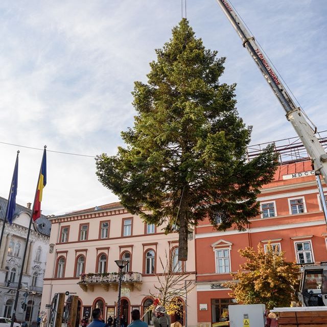 Bradul de Crăciun a fost amplasat în Piața Unirii din Cluj-Napoca FOTO