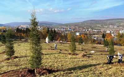 Cluj: Extinderea Parcului Etnografic din Hoia prinde contur