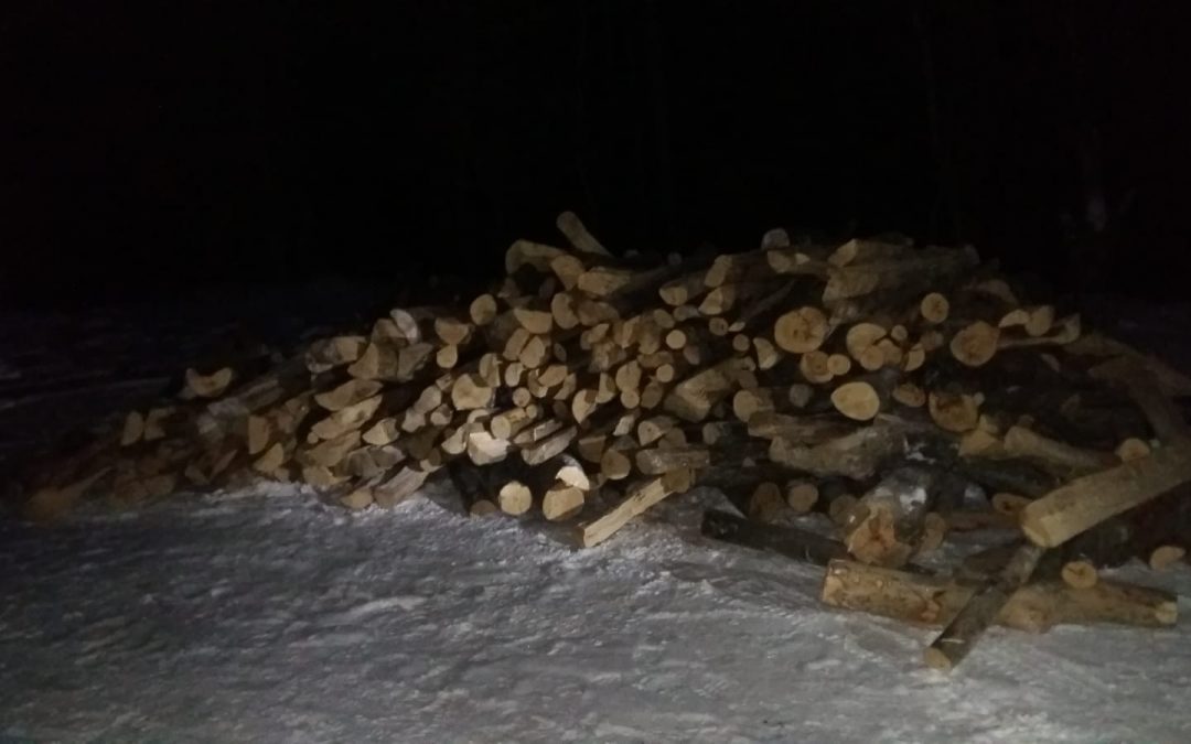 Material lemnos confiscat de jandarmii clujeni